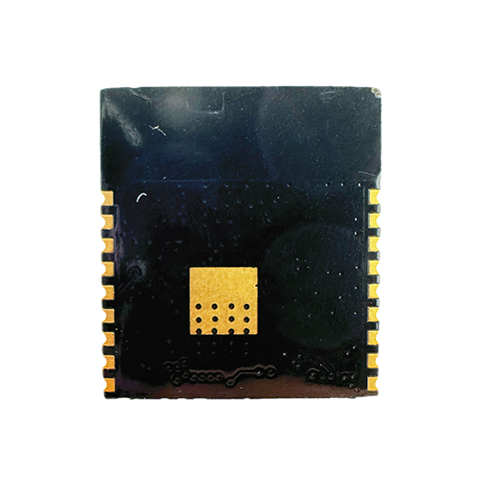 6110H-IX IoT Module